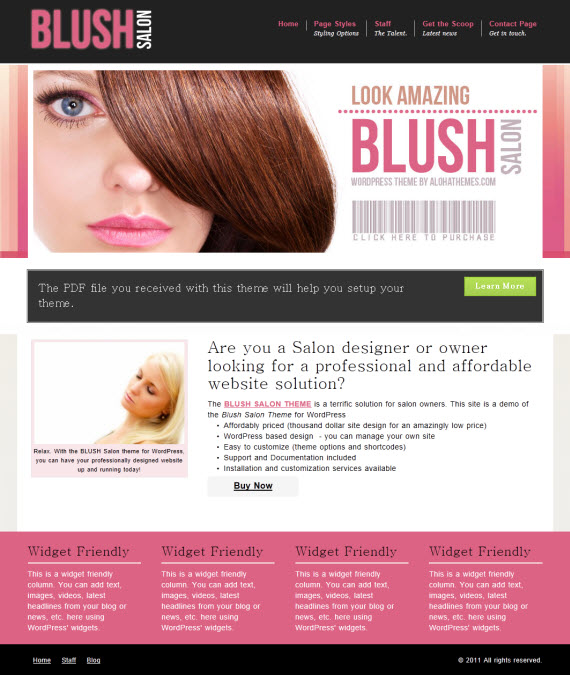 Blush Salon WordPress Theme